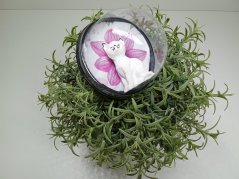 Zvířátko v bublině