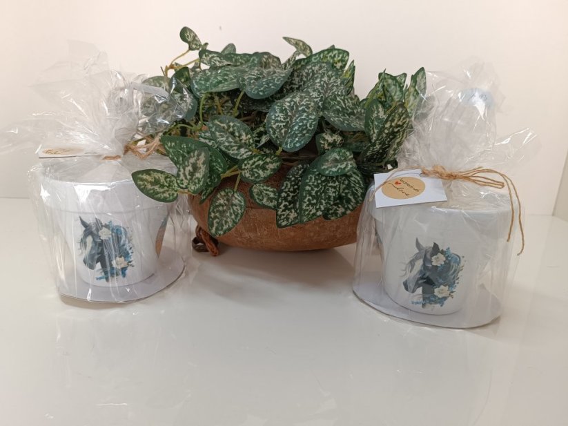 Svíčka - Varianta: Pejsci, Chcete si motiv vybrat sami, nebo se nechat překvapit?: Chci si vybrat (prosím zaslat fotografie výrobků)