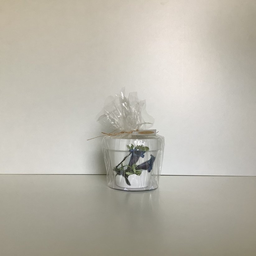 Svíčka - Varianta: Pejsci, Chcete si motiv vybrat sami, nebo se nechat překvapit?: Chci si vybrat (prosím zaslat fotografie výrobků)